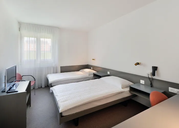 Hotel Des Mosaiques Orbe