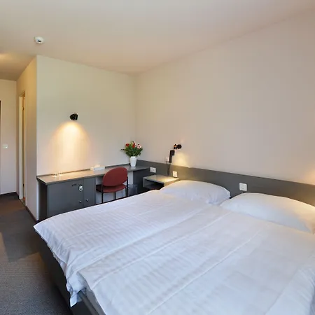 马赛克酒店 3* Orbe