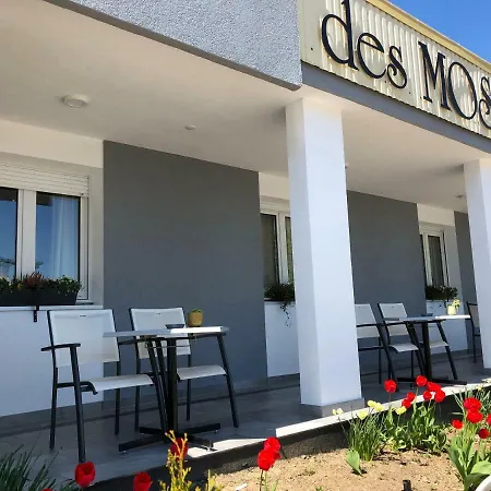 Hotel Des Mosaiques