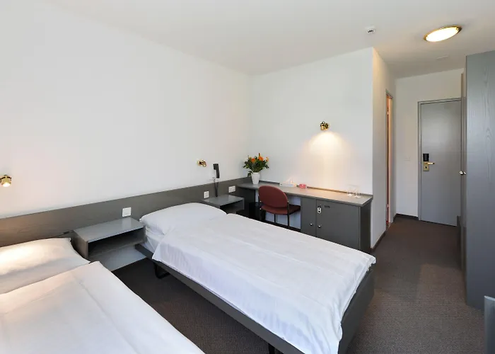 Des Mosaiques Hotel Orbe