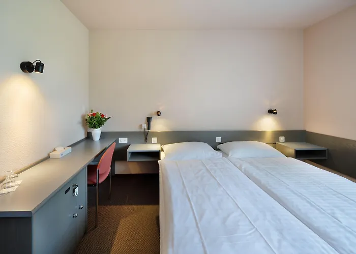 Des Mosaiques 3* Orbe