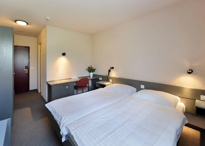 Des Mosaiques 3* Orbe