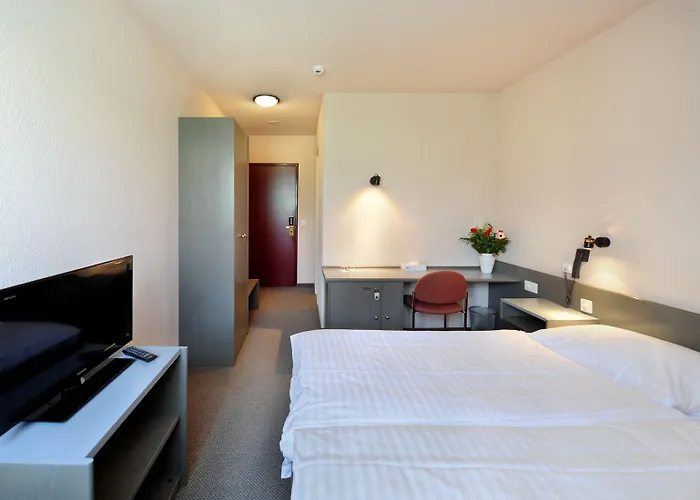 Hotel Des Mosaiques 3*